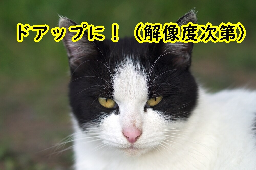 20枚でも千円！RAW写真も綺麗にレタッチします 写真歴20年以上、中判デジタル歴19年！写真綺麗にします！ イメージ9