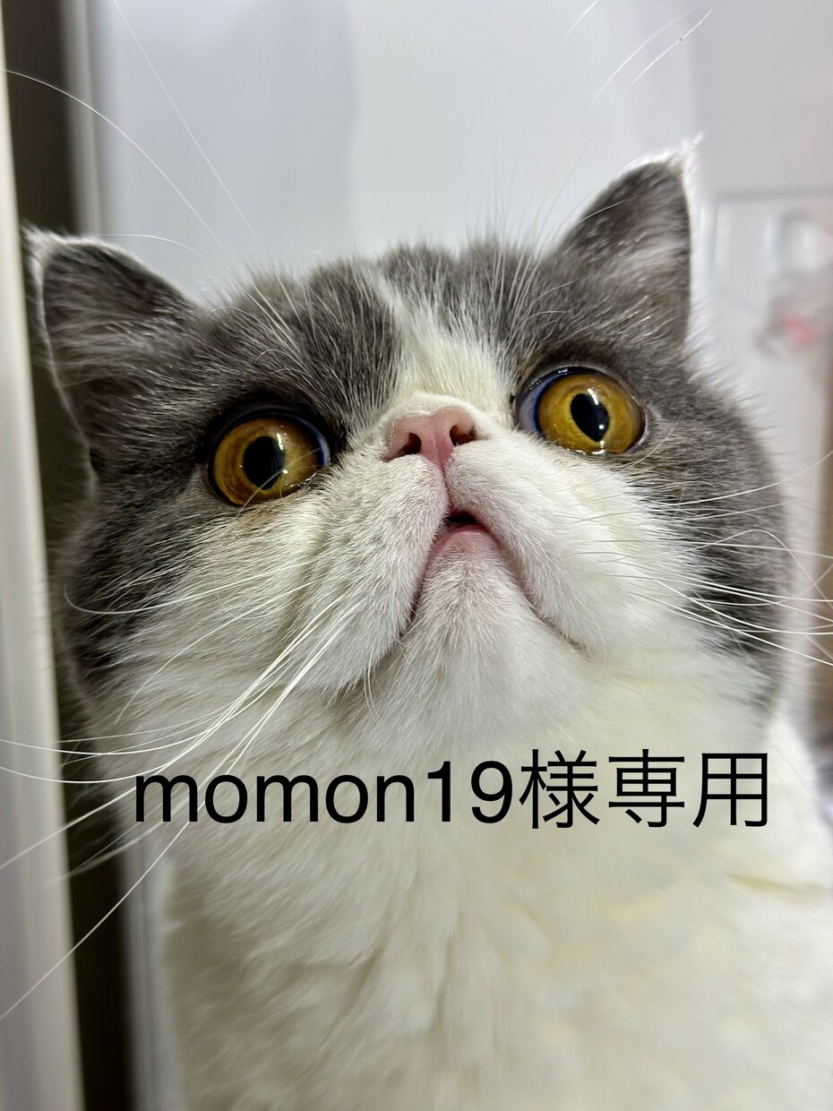 momon19様専用(1500円)ます momon19様専用(1500円) イメージ1