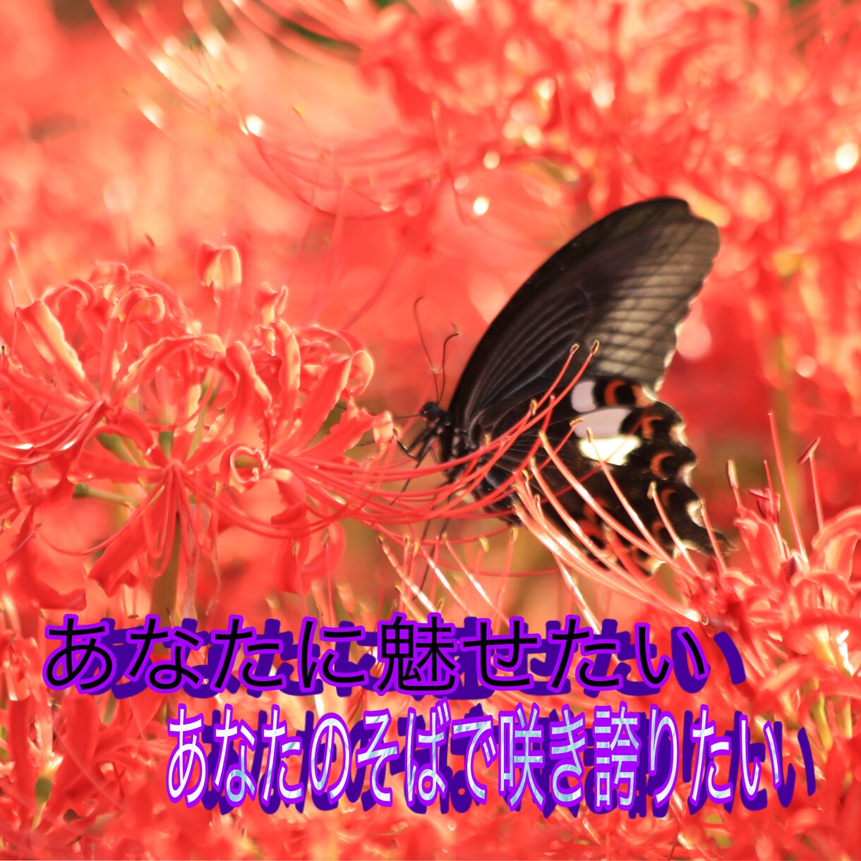 チャット鑑定♡恋愛応援♪あなたの望む未来へ導きます 望む未来へのカウントダウン♪今、必要なメッセージをすぐお届け イメージ6
