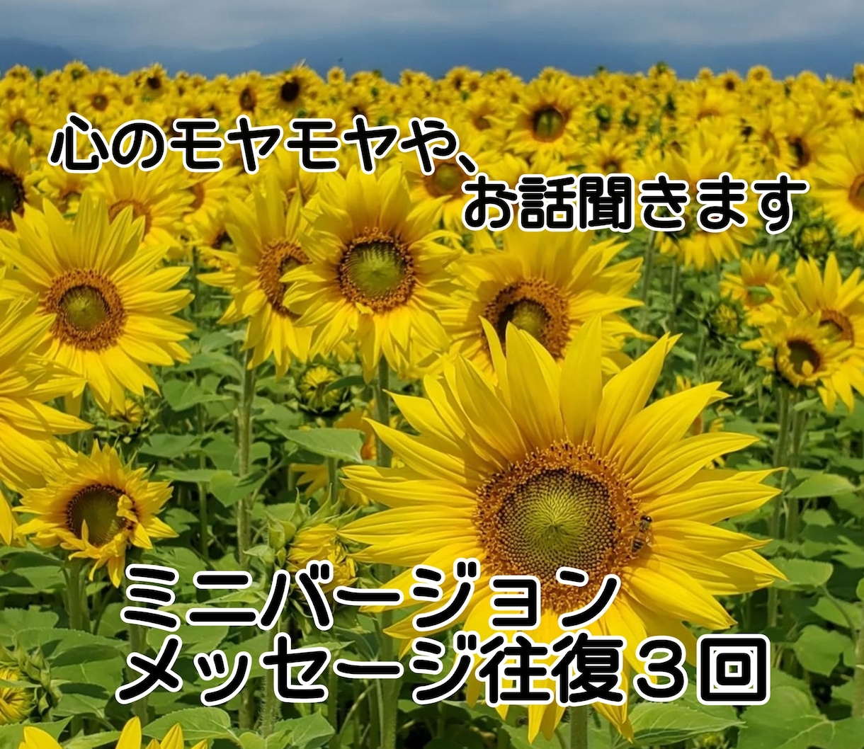 ３往復 心のモヤモヤや、悩み事、愚痴など聞きます コミュニケーション検定取得者が、あなたのお話お聞きします イメージ1