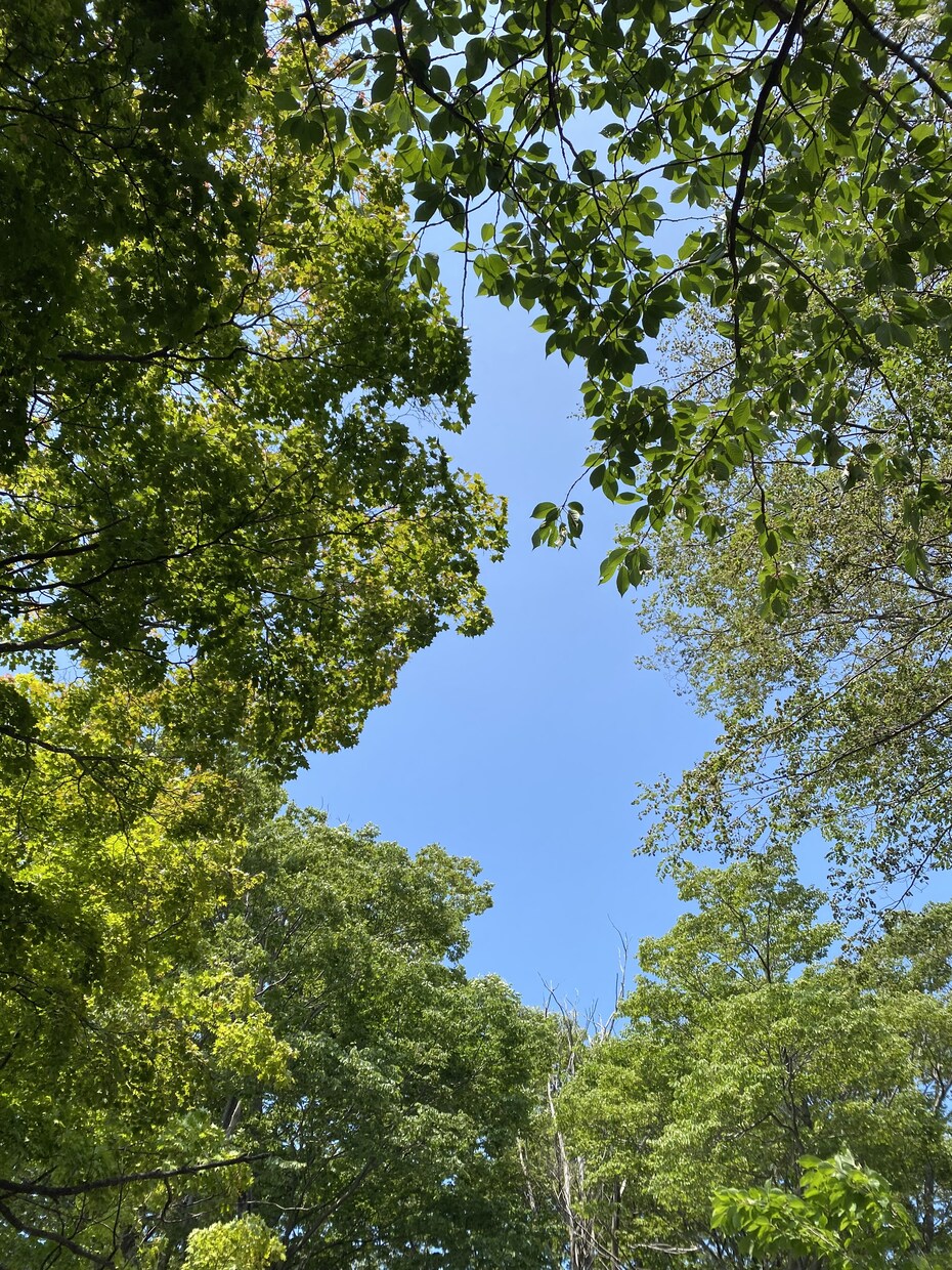 どんなお話でもお聞きします なんでも聴かせてほしい、あなたのこと！ イメージ2
