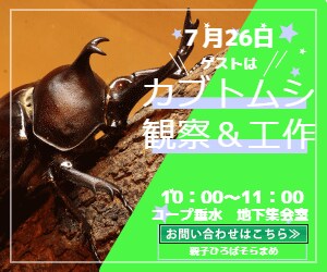 お客様に喜んでいただけるバナーを作ります お試し価格1,000円で素敵なバナーを作ります。 イメージ3