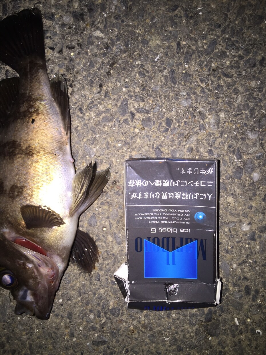 初めての海のルアーフィッシング優しく教えます 海のルアー始めたい！でも何を準備すれば…優しく教えます！ イメージ5