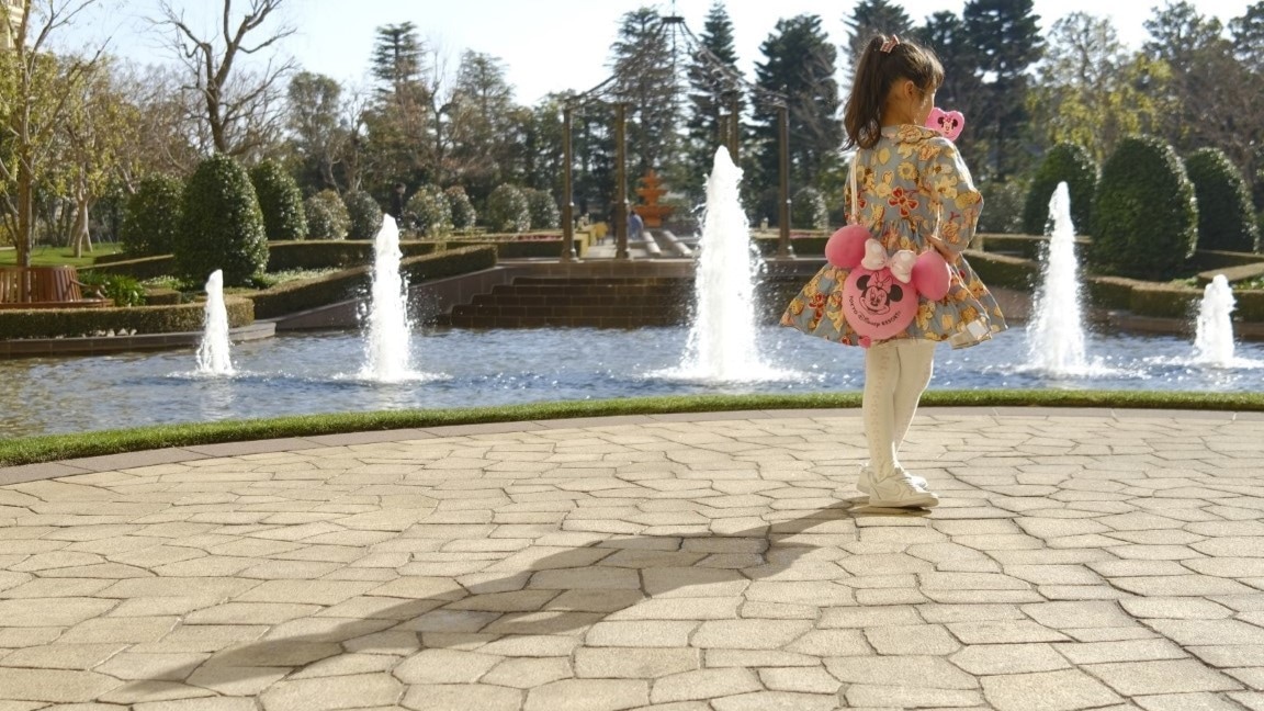 子連れディズニー計画を個別相談します 赤ちゃん・未就学児連れでも無理なく楽しめる計画作り イメージ6