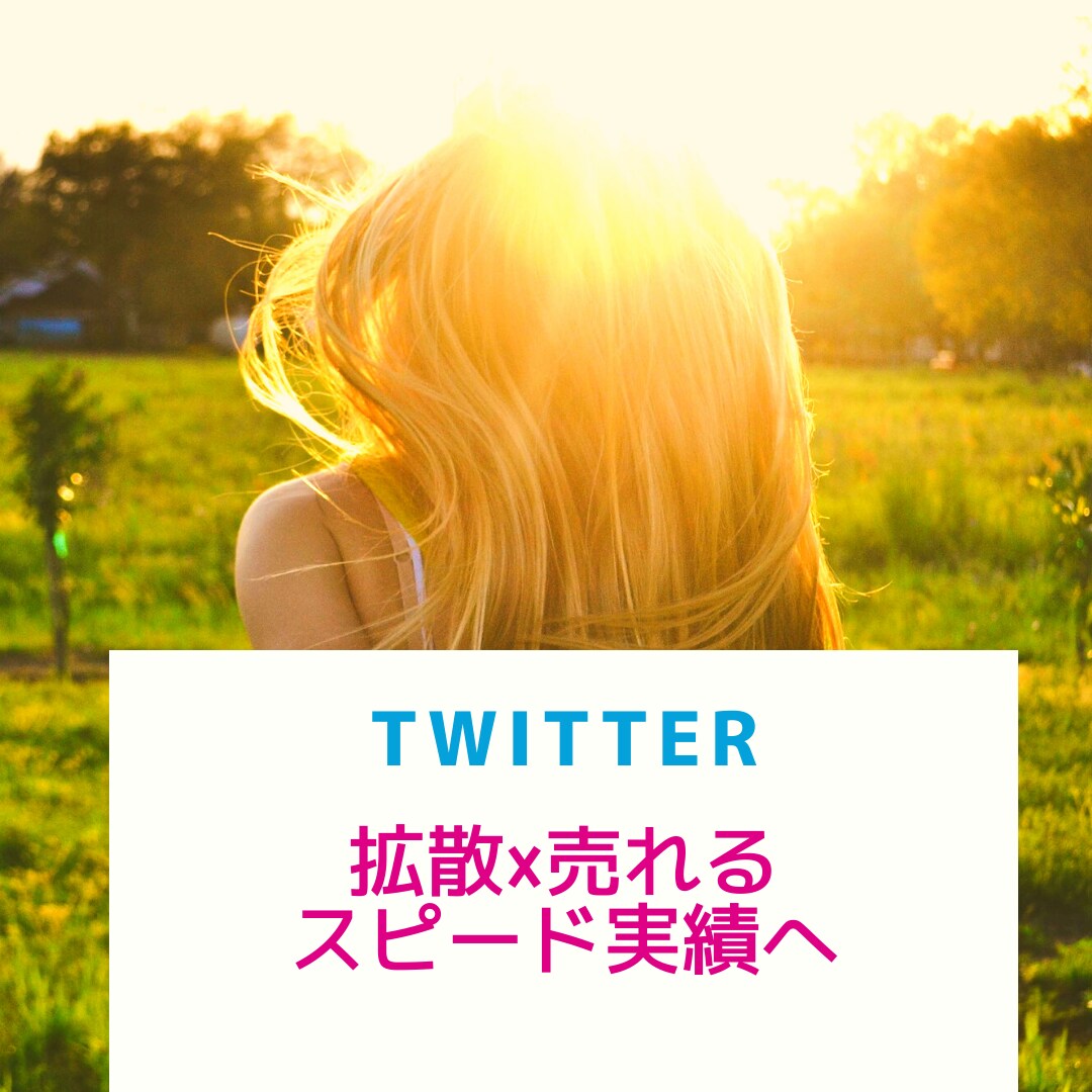2週間ツイッター集客＆収益アップのコンサルします SNSマーケティング・フォロワー数アップで徹底サポート イメージ1
