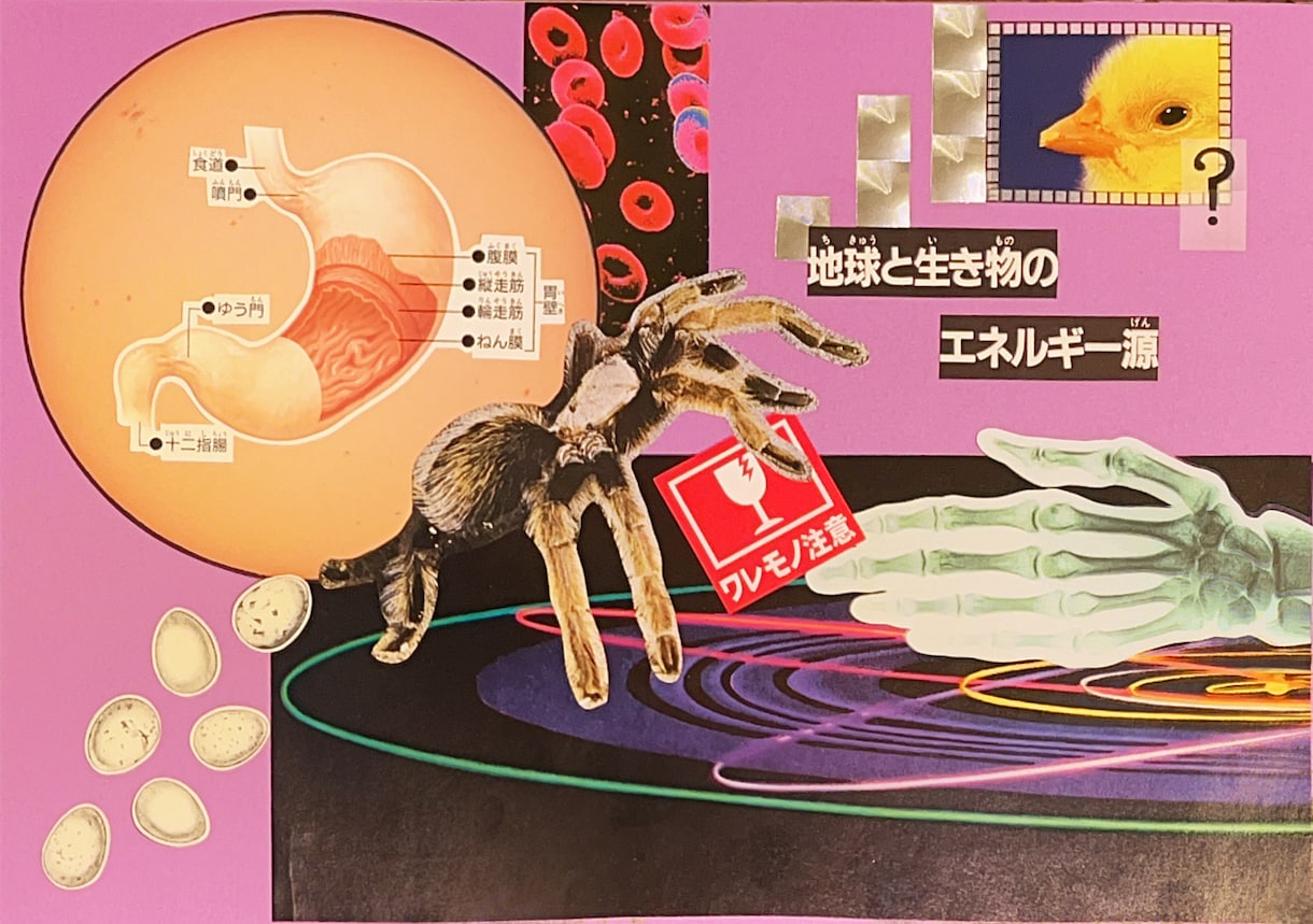 ポップでひとくせあるコラージュデザインを作ります ポップでエニグマな世界観を提供します。10枠限定最低価格！ イメージ6