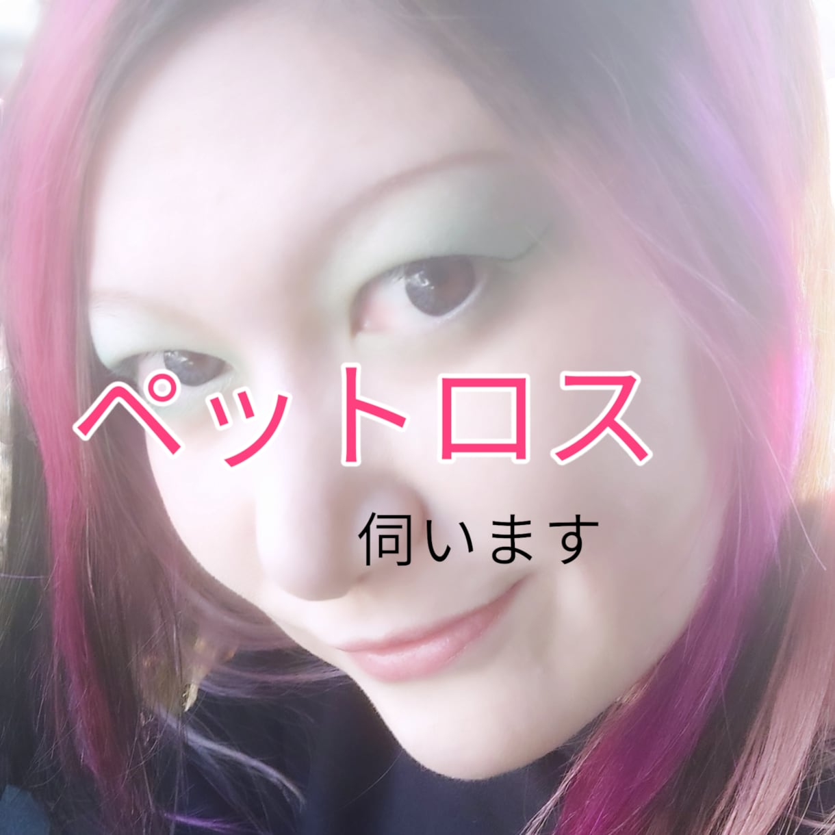 ペットロスの悲しみ伺います 大切な家族がいない辛いお気持ち伺います。 イメージ1
