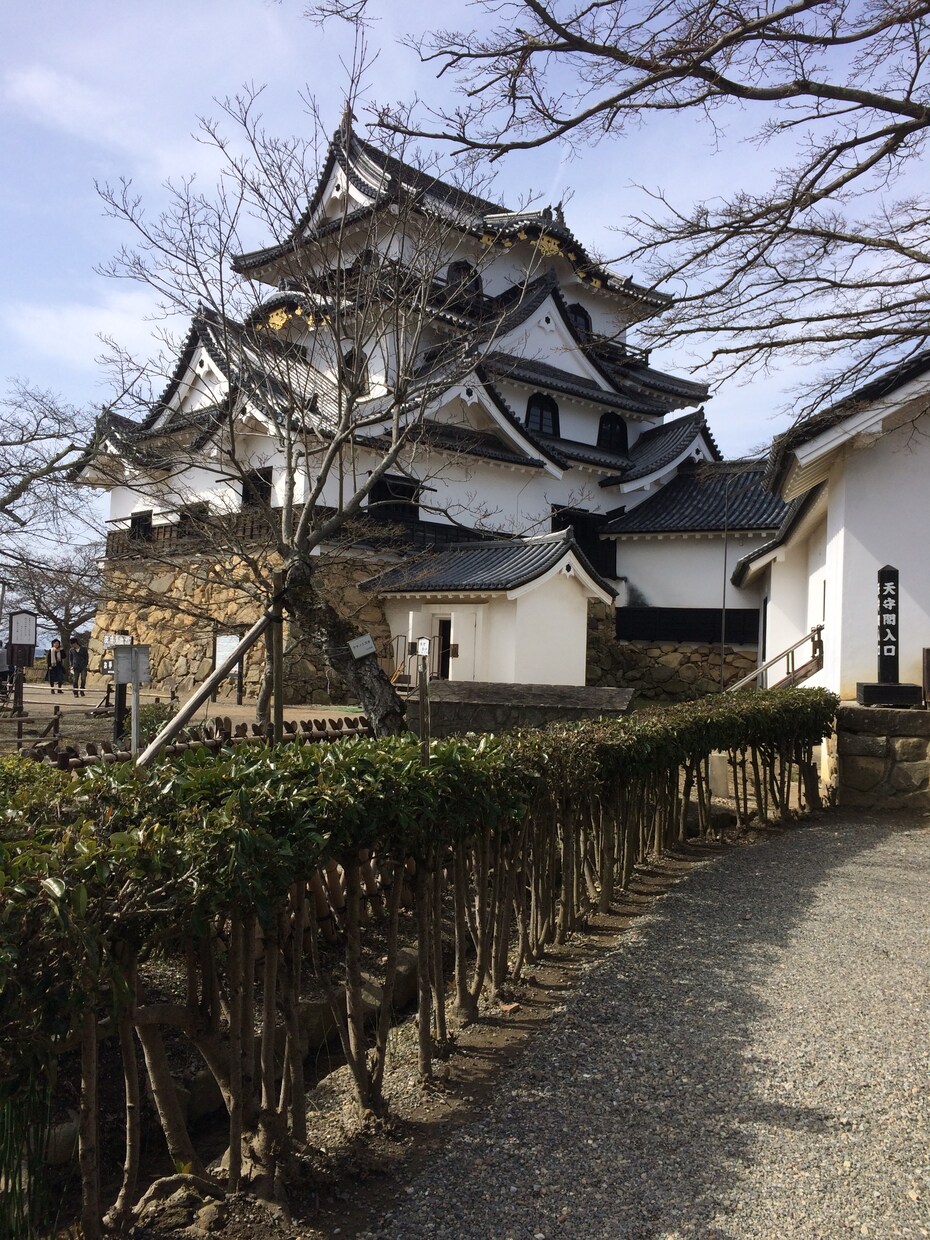 孤独にしません！あなたの悩み受け止めます 否定・批判はしません！悩み・雑談何でもありです！ イメージ2