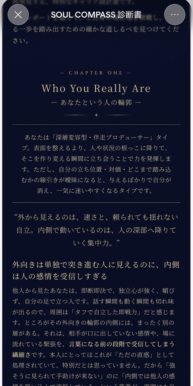 人事のプロが強み資質・適職を言語化します 診断ツールでは見えない「内面の強み」を1万字超えレポート イメージ4