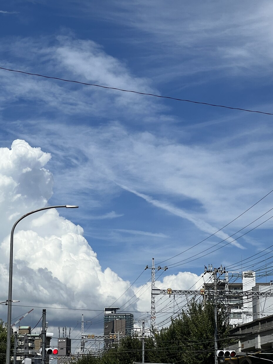 必要な写真を撮ります 夏空の写真。主に神戸市内です。 イメージ4