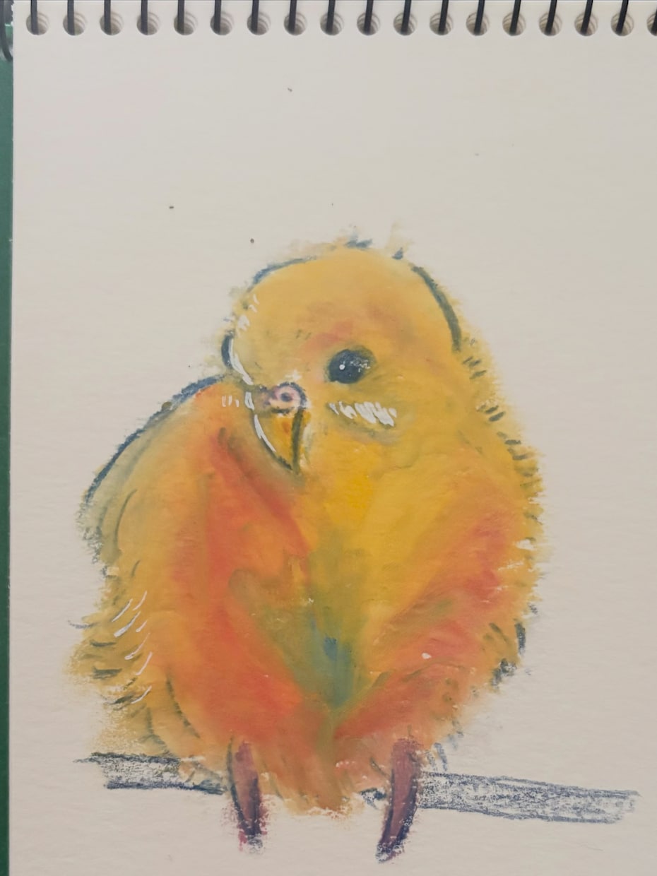 大切なペットをやさしい手描きイラストにします いつもの可愛い姿を、手描きの一枚に残しませんか？ イメージ3