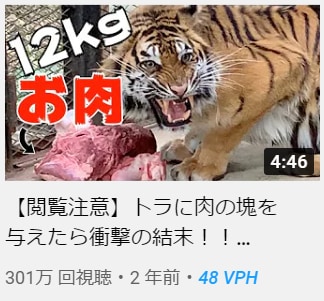 ハイクオリティーYouTube編集いたします 覚えてもらいやすい印象的な動画を作成いたします イメージ8