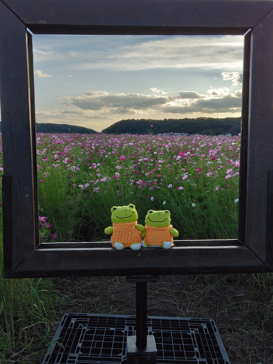 正しいウォーキングの説明させて頂きます お客様にとって一番良いウォーキングを説明させて頂きます。 イメージ1