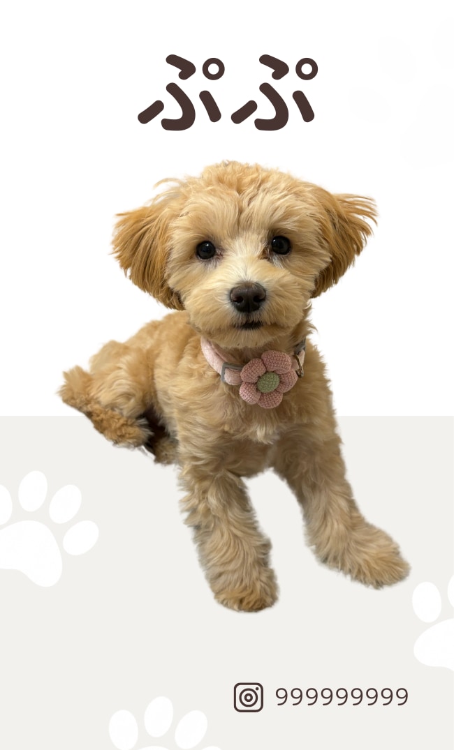 Canvaで編集できる！犬の名刺作成します 犬友さんとの交流やお散歩会におすすめ イメージ2