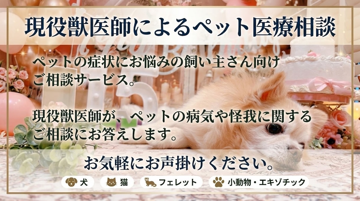 現役獣医師が、ペットの病気についてご相談に応じます 犬・猫・フェレット・うさぎ等に関してのご相談をお受けします。 イメージ1