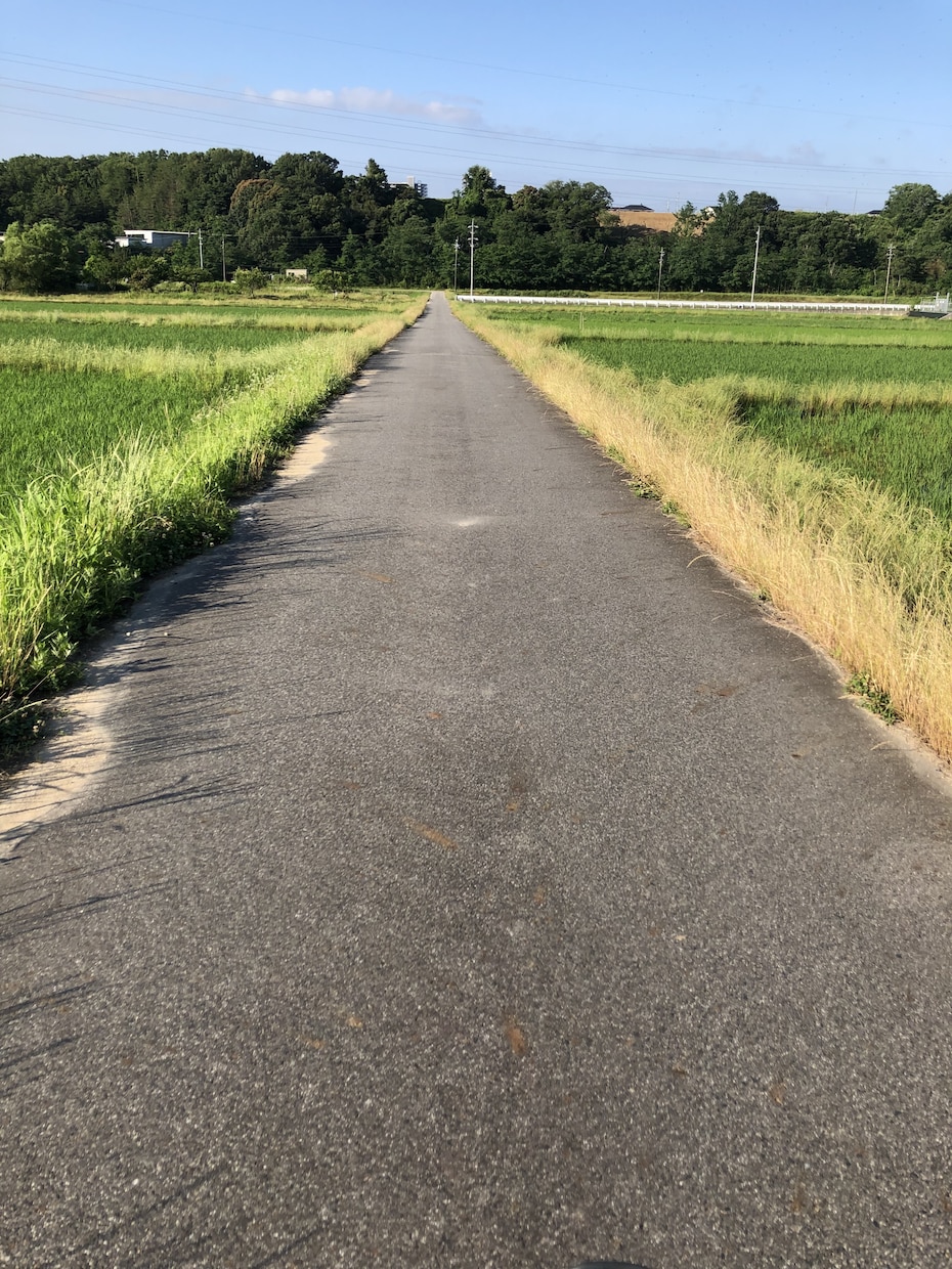 オスグッドのつらさを解決します あなたに合った簡単なエクササイズで。膝がみるみる楽になる。 イメージ1