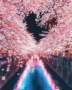トークと占いで1日寄り添います あなたの悩みを吐き出してください。 イメージ2