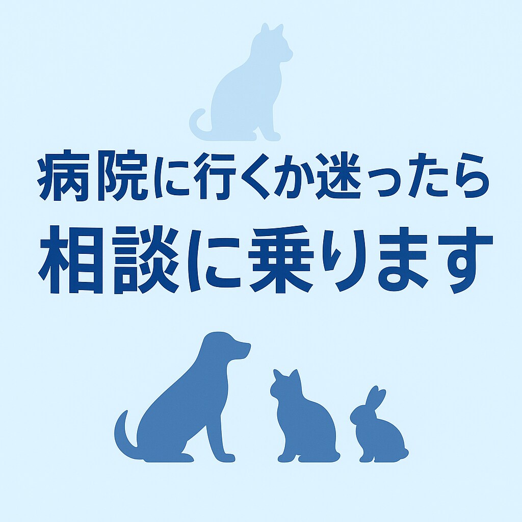 エキゾチックアニマルのお悩み相談お伺いします どんなペットの相談でもOKです イメージ7