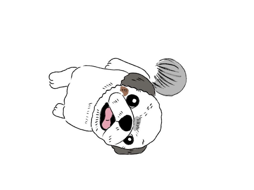 動物（ペット）イラストお描きします お好きな動物、大事なペットのイラストをお描きします！ イメージ2