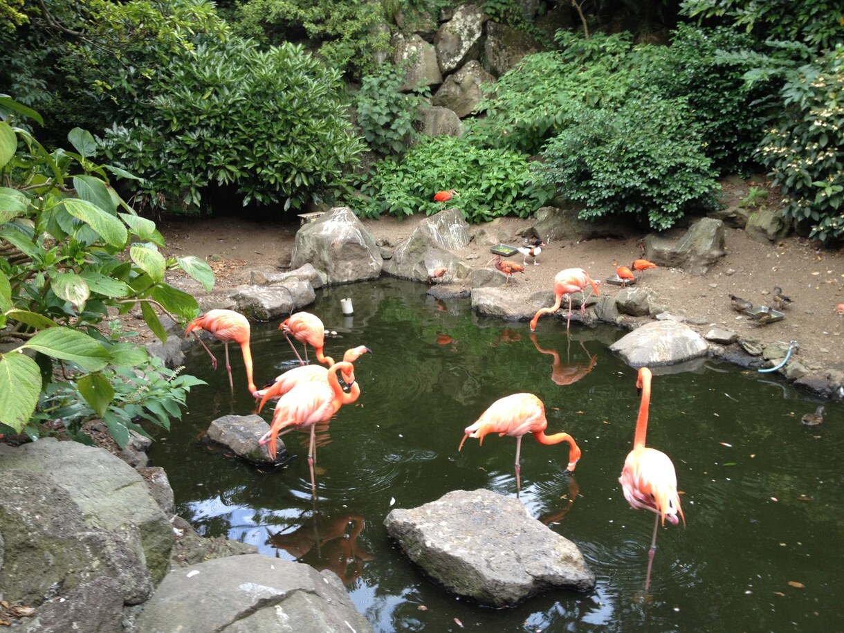 オススメ動物園、プランを提案致します イベントプランナーがあなたの旅をサポート‼︎ イメージ3