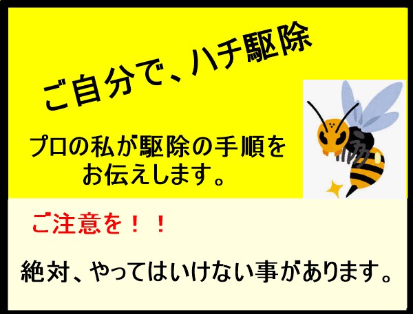プロの私が、ハチ駆除の方法お伝えします ご自分でも駆除出来ますが、間違えるととんでもないことに！ イメージ1