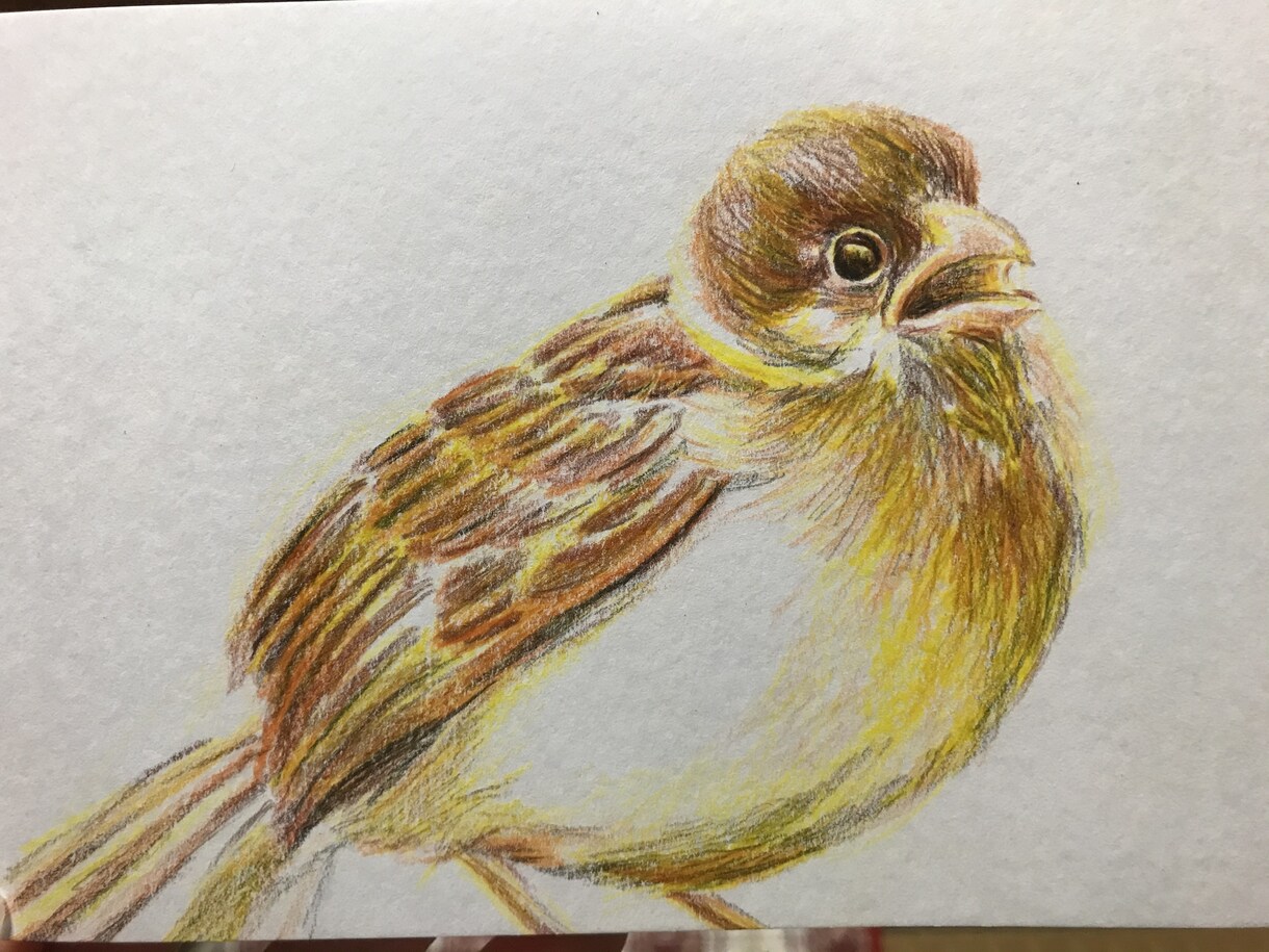 ペットのイラストを描きます あなたのお気に入りのペットを好きな色で残す イメージ5