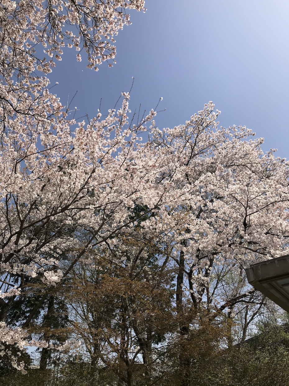 内なる声を聞きましょう。一緒に道を探します 。本当の私って？自分を知って羽ばたいてみませんか。 イメージ2