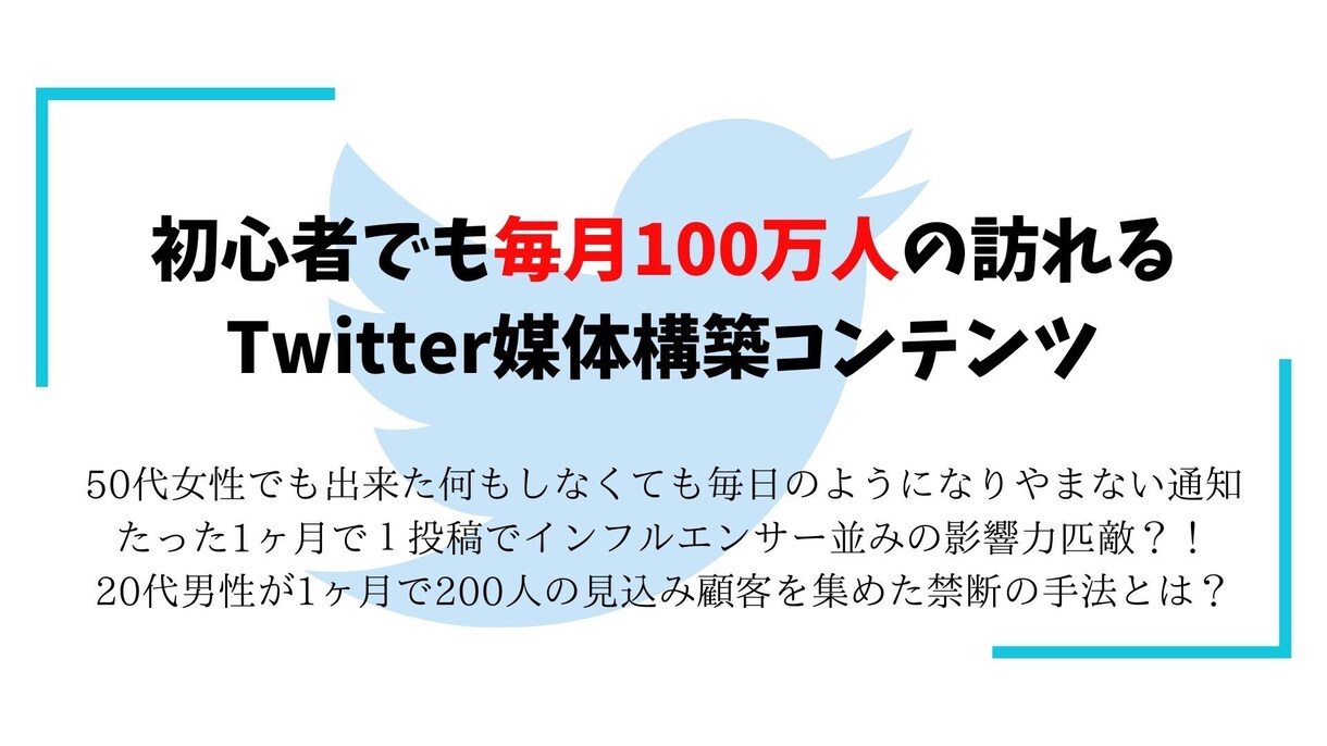 あなたにもTwitter運用の可能性を持たせます 3ヶ月で100万Twitterでアクセス イメージ1