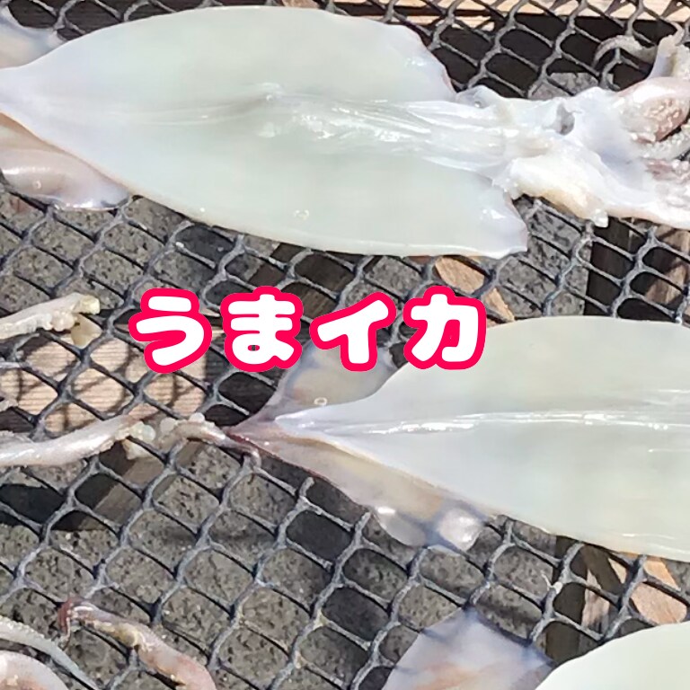 商品のネーミング、ペットの名前、アイデア考えます 笑い、楽しい、素敵！色んな独特のアイデア考えます！ イメージ3