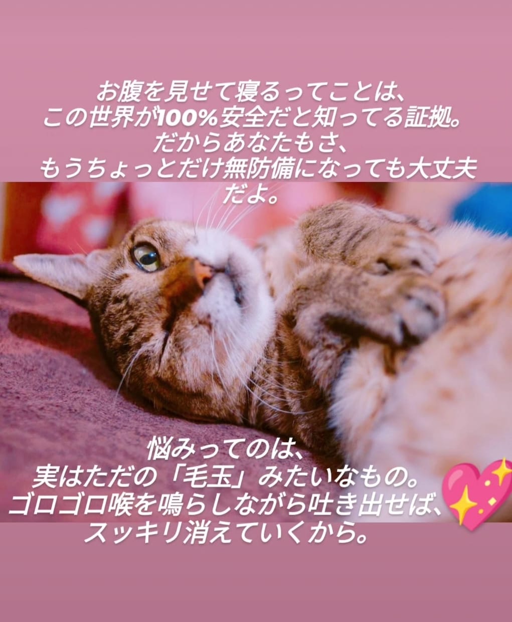 猫のオラクルカードでメッセージを届けます ネコ世界から届く愛と癒やしのスピリットメッセージ イメージ4