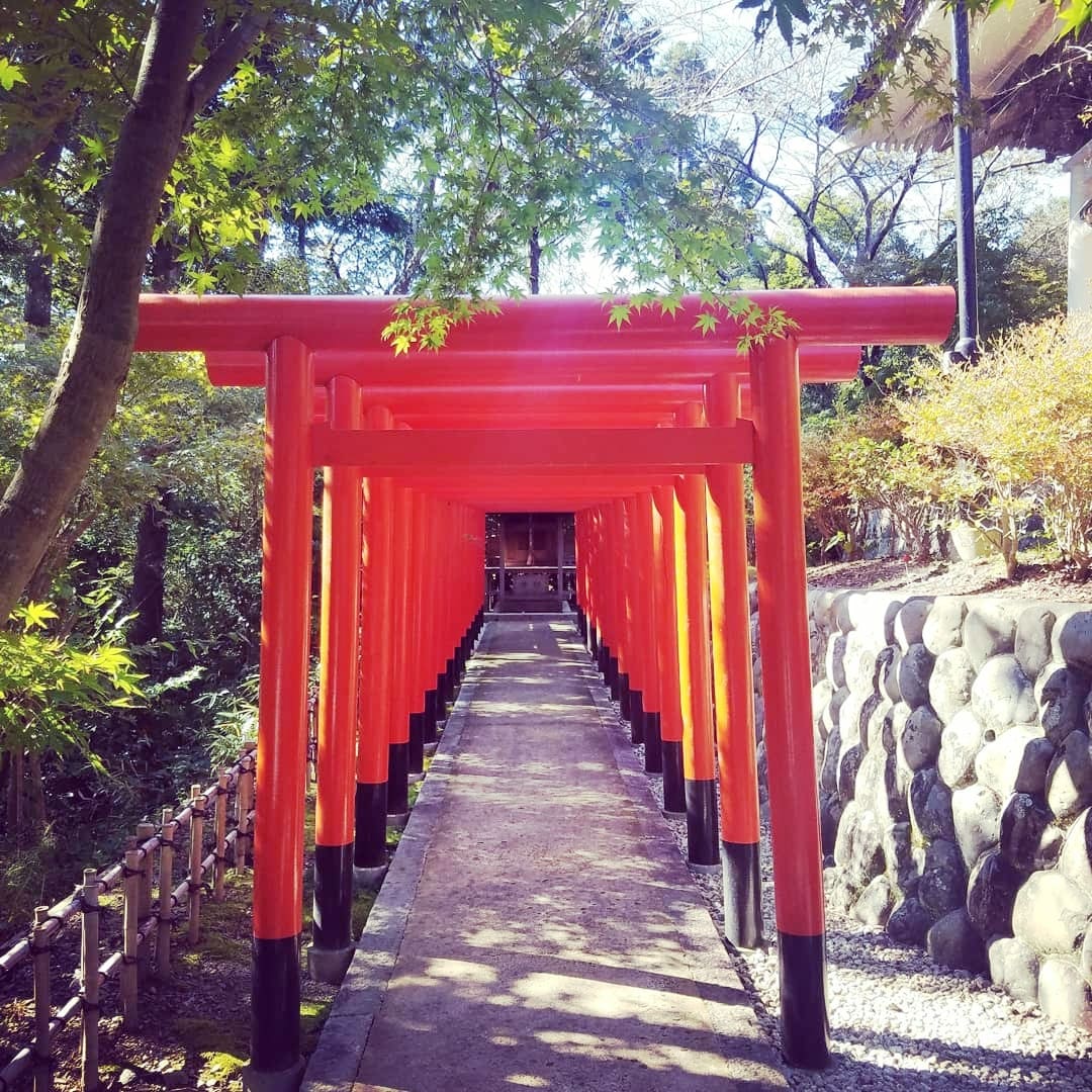 風水でお家の中で出来る☆開運体質☆凶➡吉に変えます 家の中って外から入ってくる厄溜まるんです➠改善しませんか？ イメージ5