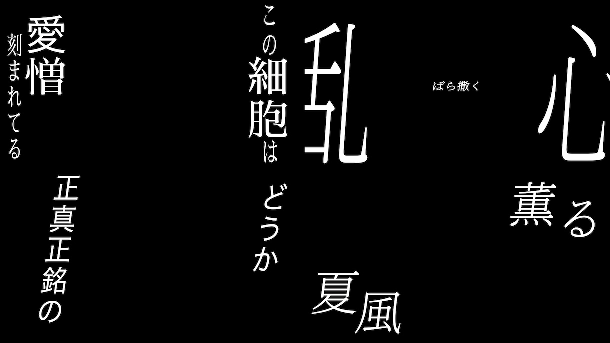 ショート・TikTokで映える歌詞素材を作成します 重ねるだけで完成度が上がる歌詞テロップを短納期で提供 イメージ2