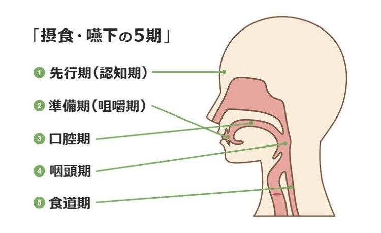 言語聴覚士が話し方・飲み込みのお悩み解消します 現役10年STの相談窓口・実践アドバイス日常ストレスの緩和へ イメージ5