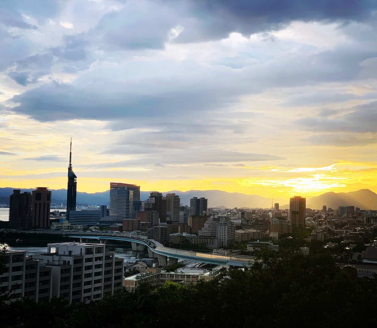 季節に合った映像を撮影致します 季節に合った、風景や植物を撮影致します。 イメージ2