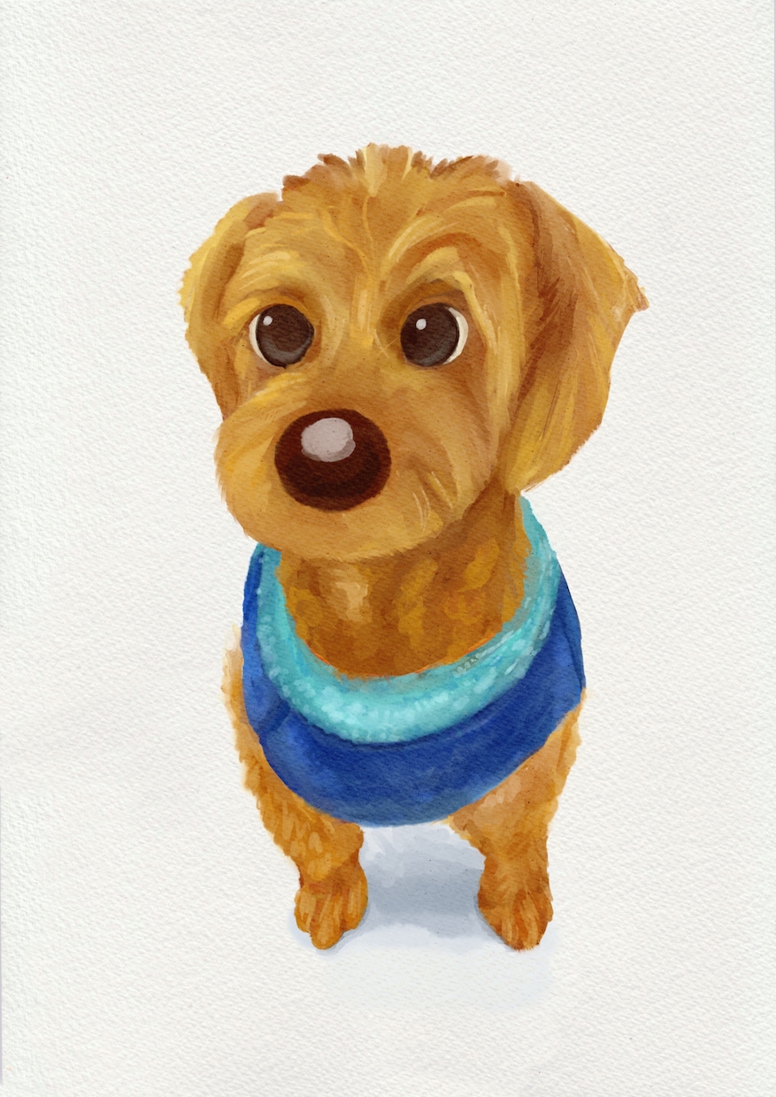 うちの子｜デジタル手描き似顔絵｜ペット肖像画｜ます 犬・猫・虹の橋の子、どんな子でも大歓迎です！ イメージ1