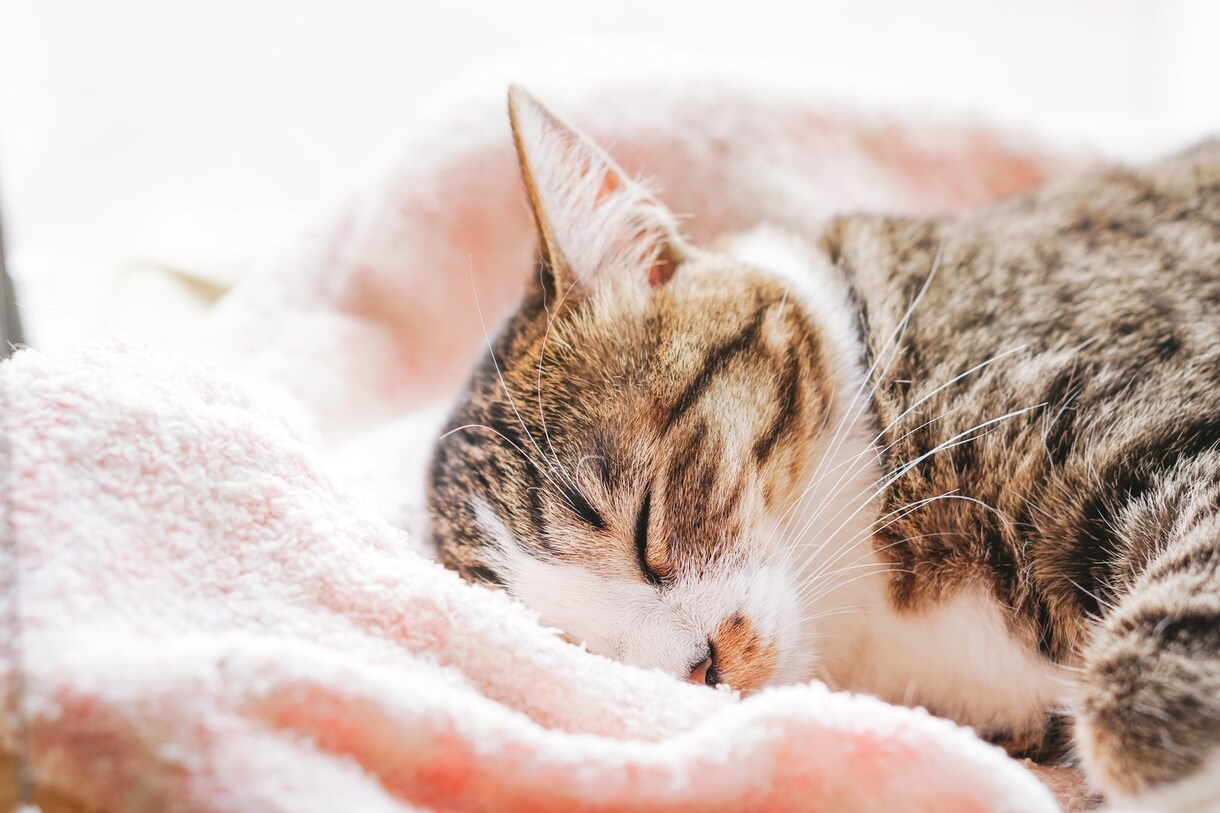明日が来るのが嫌で眠れない人へ、お話し聴きます 1分からOKです！違うなと思ったらすぐ終了も可能です◎ イメージ1