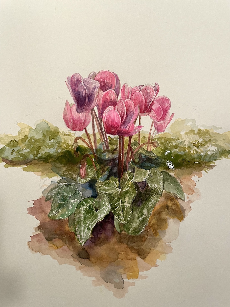 水彩画を描きます 水彩画の動物を描きます。額装をしてお渡しします。 イメージ3