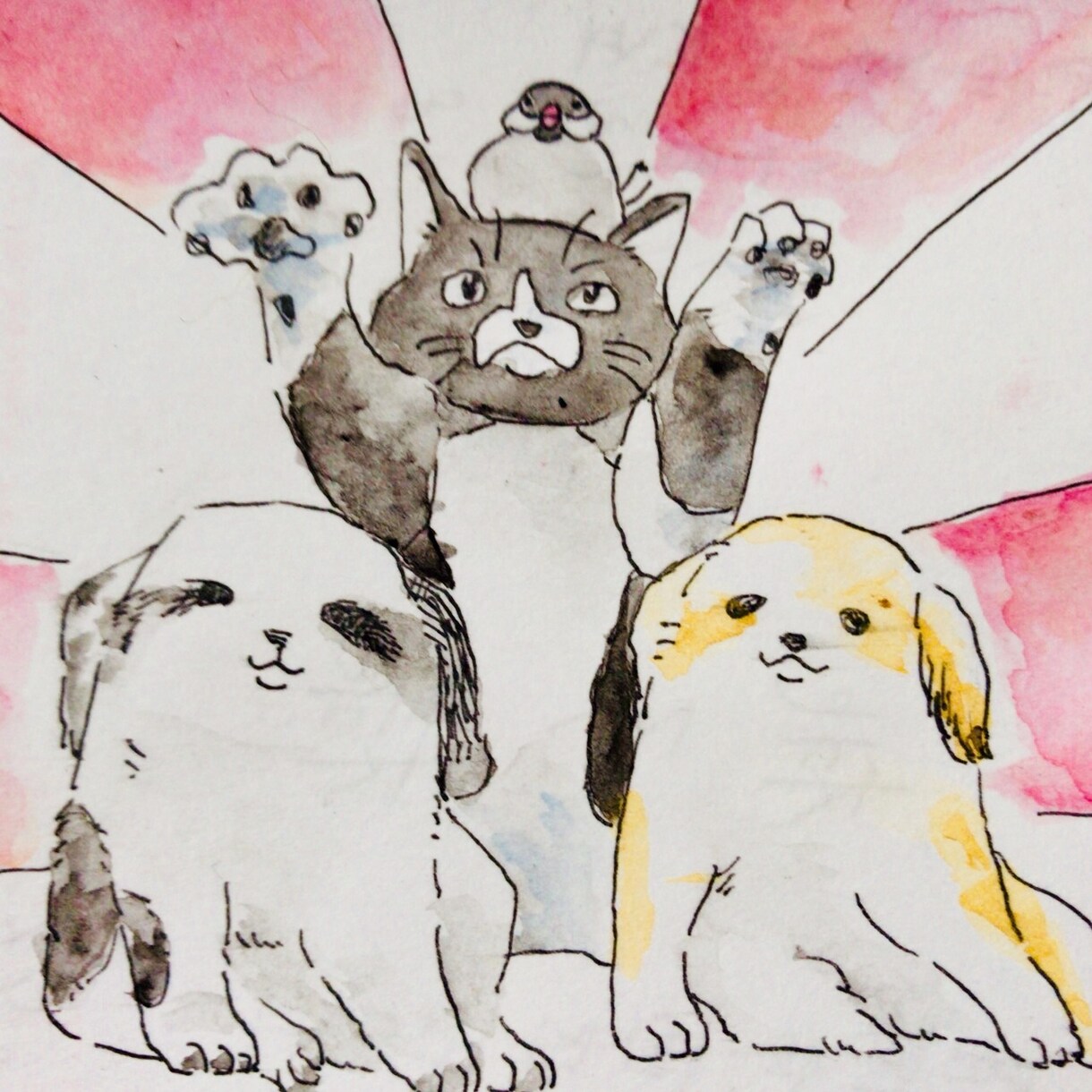 大事な家族であるペットのイラストを描きます ❇︎ペットの姿を残したい方、プレゼントを考えている方に❇︎ イメージ5