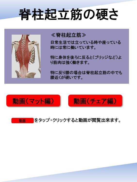 反り腰改善のエクササイズ教えます 反り腰の原因に関わる筋肉は４種類しかないです！！ イメージ4