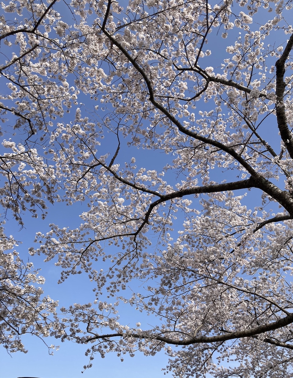 1分からでもOK～♬あなたのお話しお聞きします 今すぐ話したいお悩みや愚痴何でもお話下さい✩.*˚ イメージ2