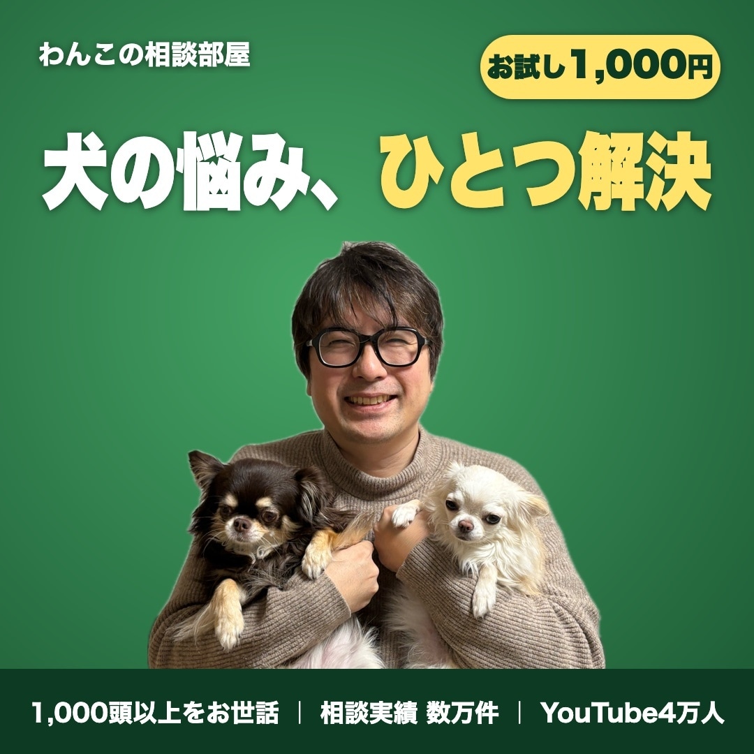 犬の悩みをひとつだけ｜プロが本音でお答えします 毎日のちょっとした「？」を、プロがすっきり整理します。 イメージ1