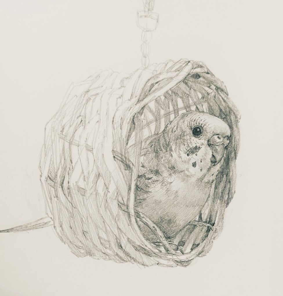 ペットの似顔絵を手描き原画で制作します お写真をもとに、ハガキサイズのペット肖像画を制作いたします。 イメージ10