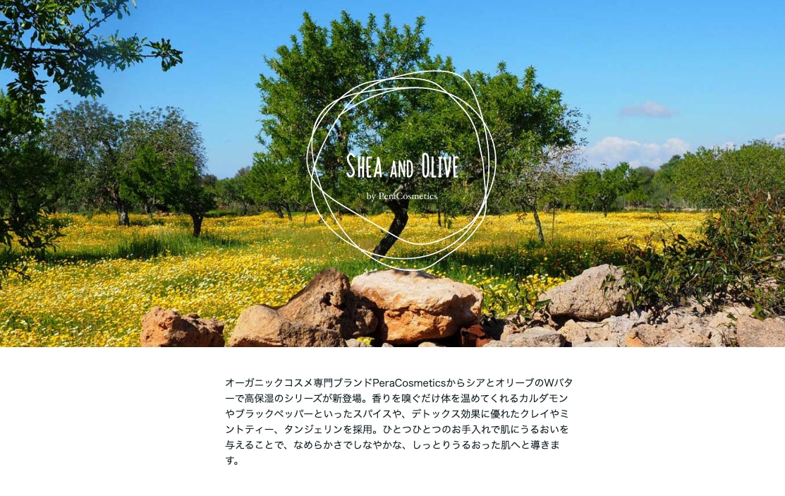 ペライチでランディングページ(LP)作ります 現役SEだからできる高品質/短期間【SEO・スマホ対応込み】 イメージ10