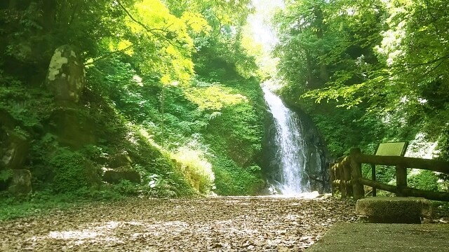 生年月日やタロットで相手との関係やその他を占います 本名不要です、お話を聞きながら占っていきます イメージ10
