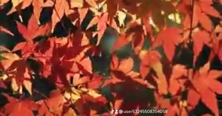 お仕事の悩み、霊感霊視タロット➕数秘術で視ます 数秘術から三年の運気、適職(天職)、使命、お伝えします。 イメージ4