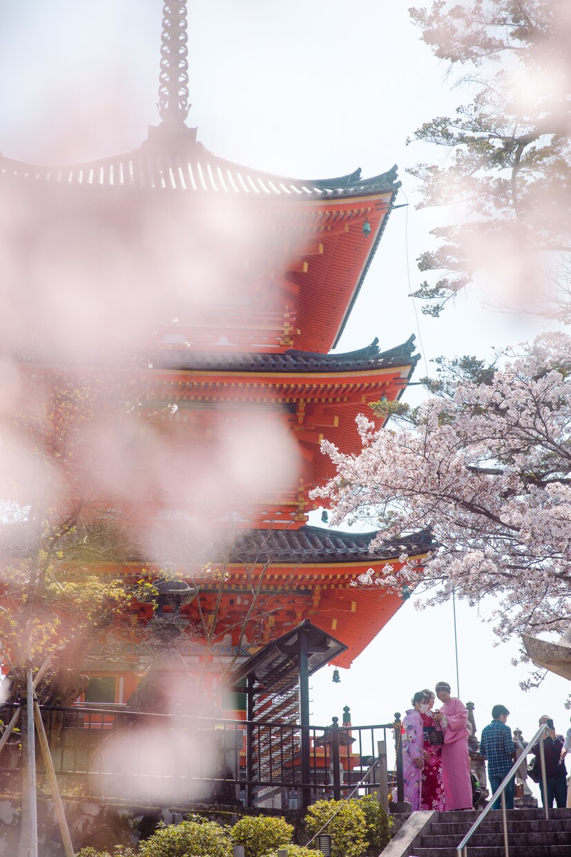初心者から中級者へ写真の技術を教えます 写真に関する悩みや相談をお聞きして、アドバイスします。 イメージ8