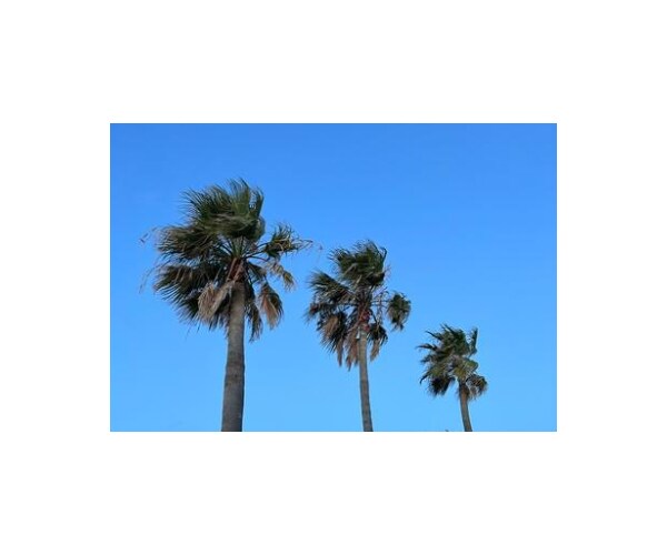 アナタの素敵な夢についてトコトン聴きます 9年間応援団に所属していた僕がお電話にて背中を押します!! イメージ10