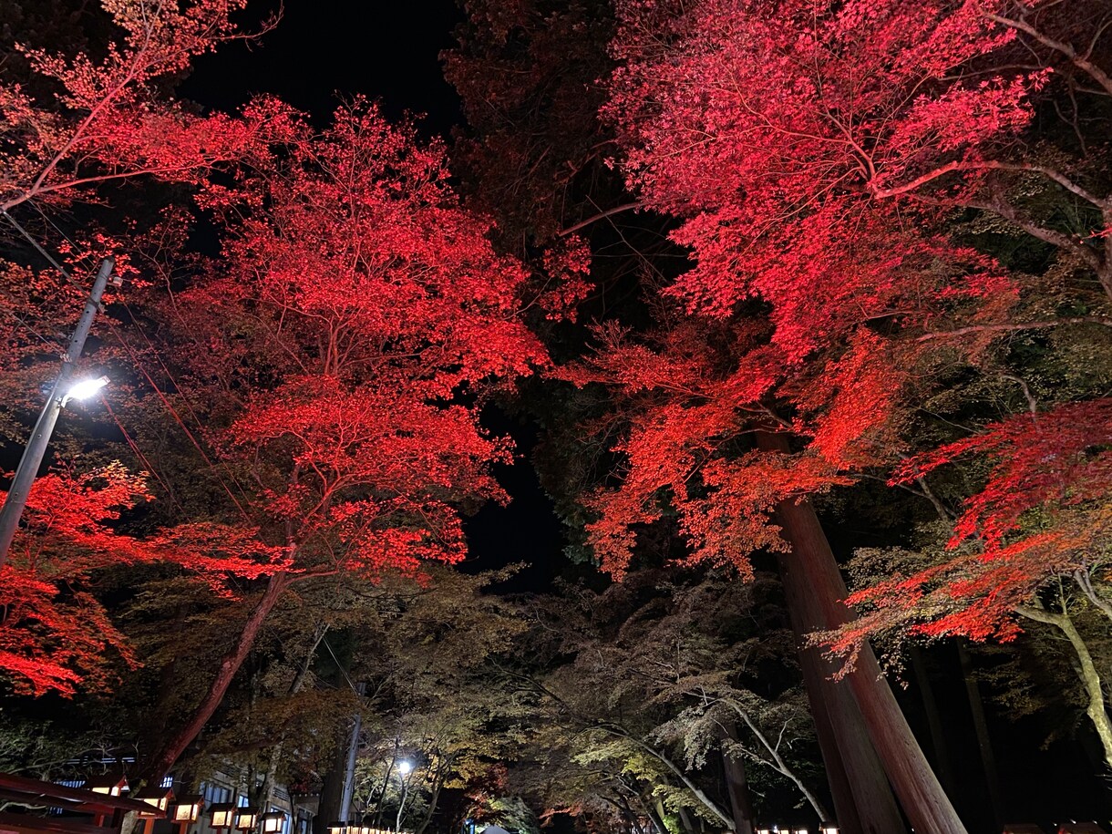 あなたの悩みや愚痴を聞きます 人生のどん底を味わったからこそ人の痛みや苦しみがわかります イメージ1