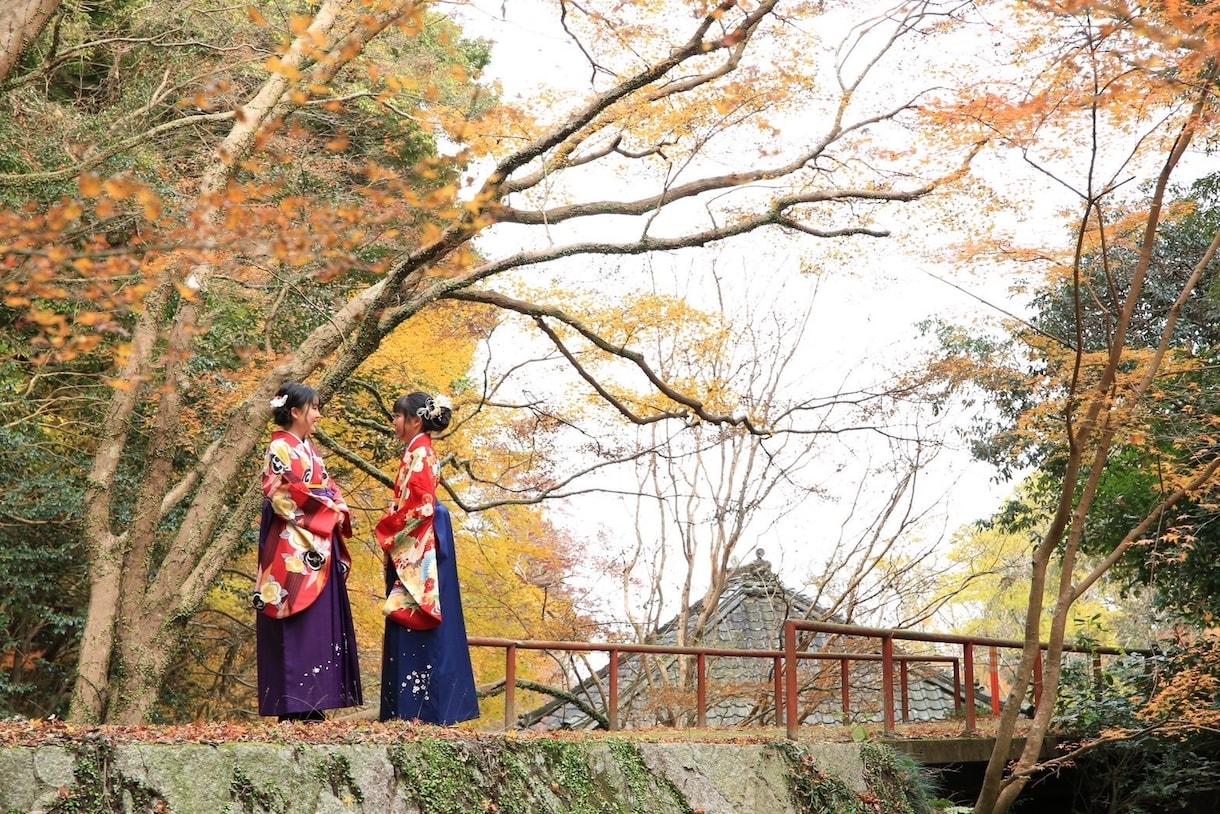 着付け技能士一級⭐︎ご自宅でお着付けいたします 自分の、家族の節目を着物に思い込めてお祝いしませんか？ イメージ1