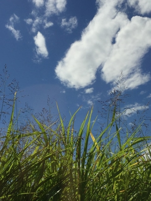 子育てのお悩みベテランママがお聞きします 一人で抱えないで、どんな小さなことでも吐き出してくださいね。 イメージ4